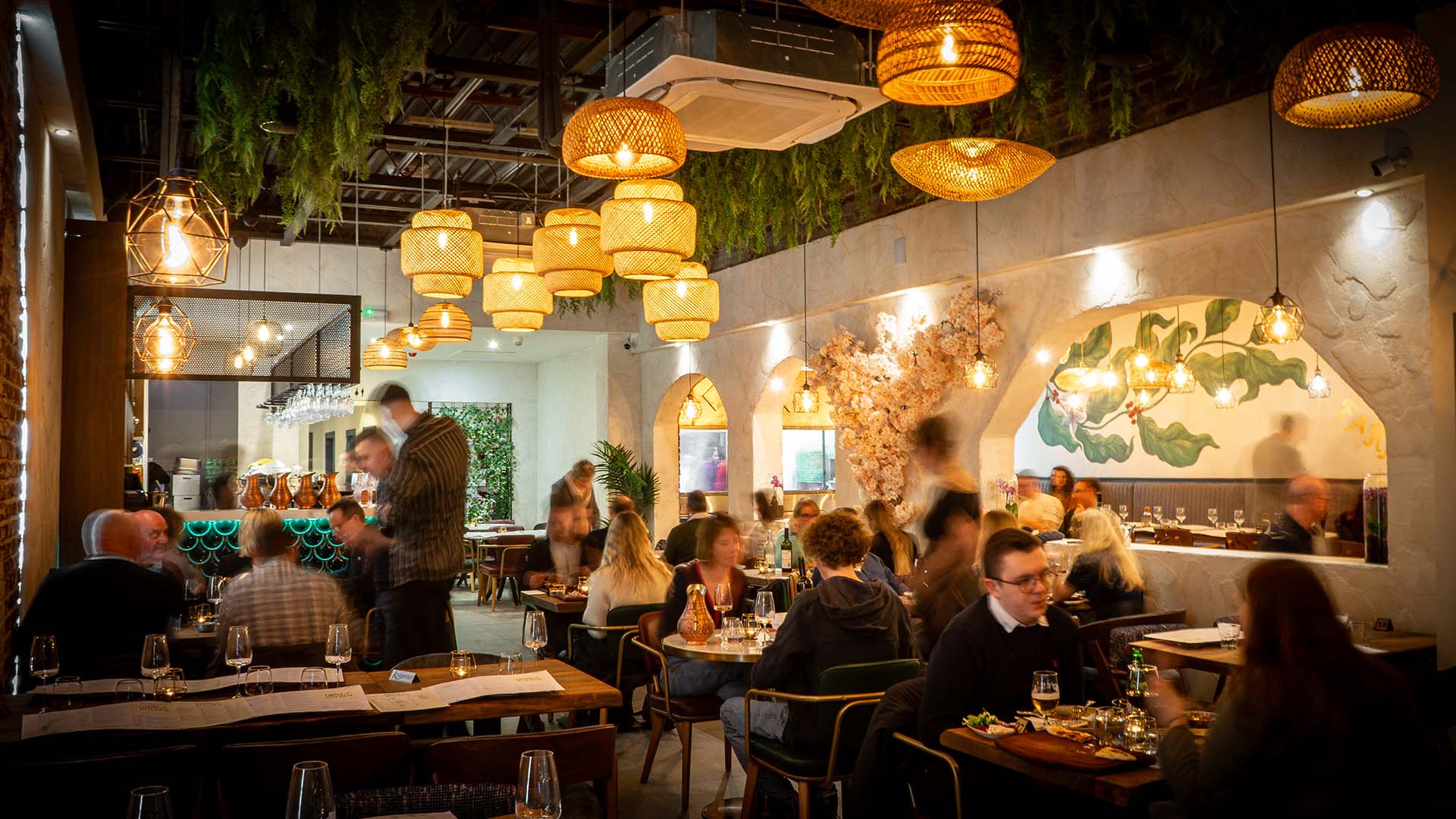 The Farm Kitchen dining room on Palmerston Road